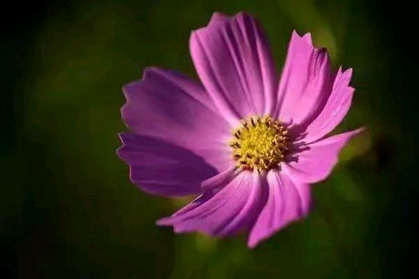 微信图片_20200304084316.jpg 微信图片_20200304084316.jpg