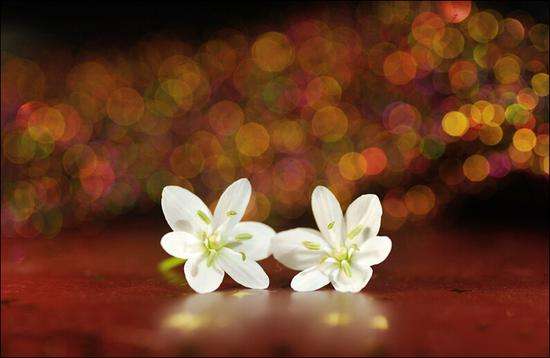 timg (18).jpg timg (18).jpg