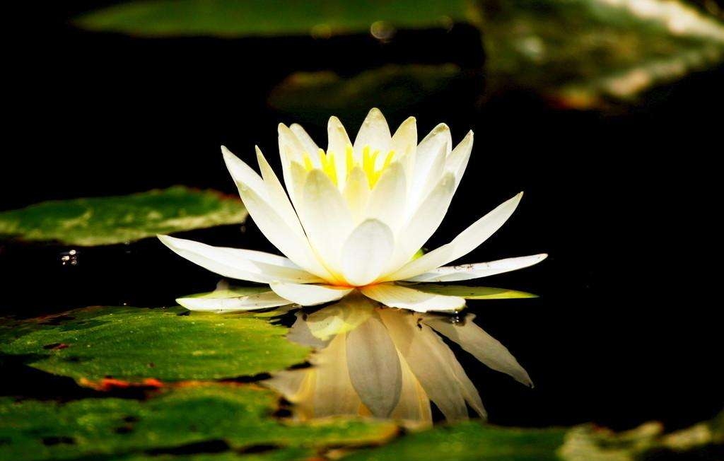 timg (12)_副本.jpg timg (12)_副本.jpg