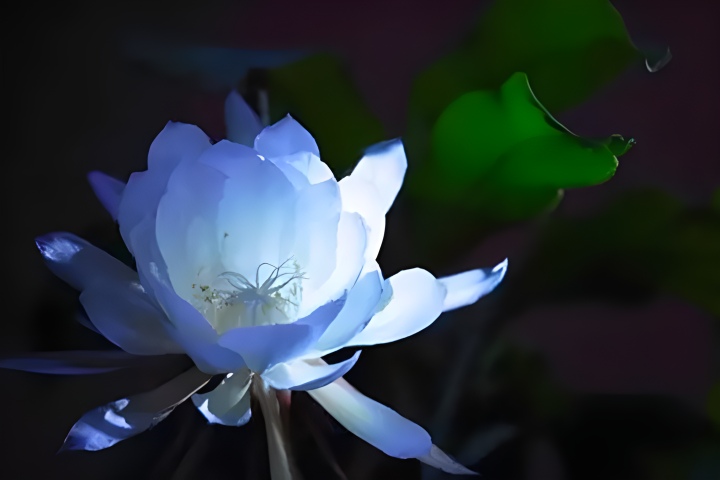 360图片编辑 (4)_副本.jpg 360图片编辑 (4)_副本.jpg