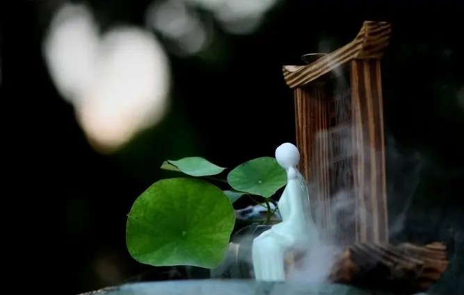 =JPEG.webp.jpg =JPEG.webp.jpg