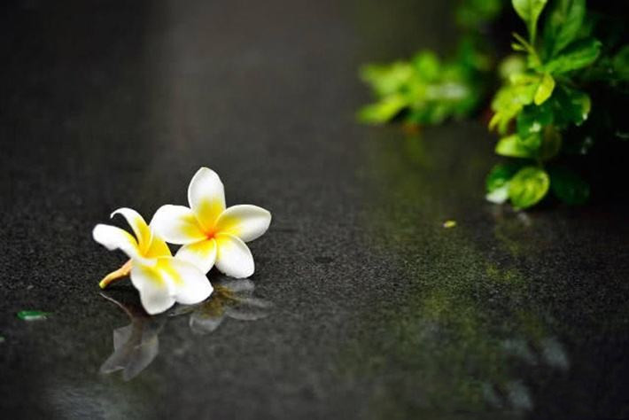 c2.zhimg.jpg c2.zhimg.jpg